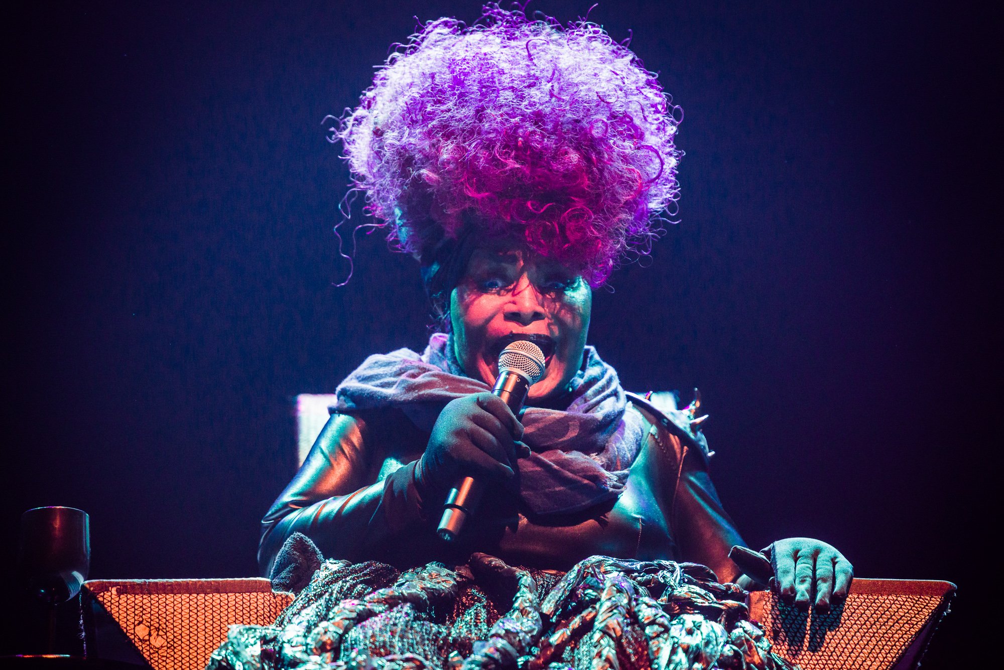 Samba queen Elza Soares returns to NL